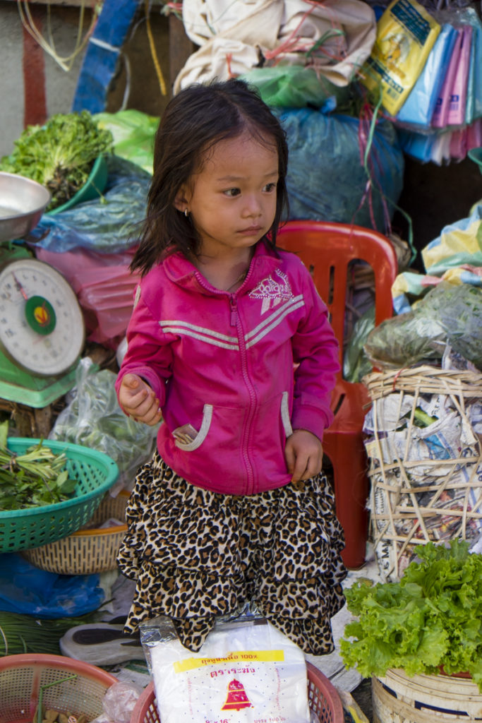 Battambang Market (4)