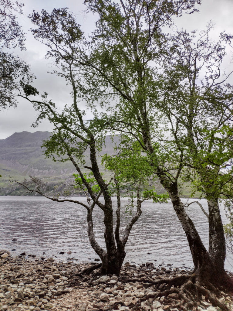 Loch Maree - Achnasheen